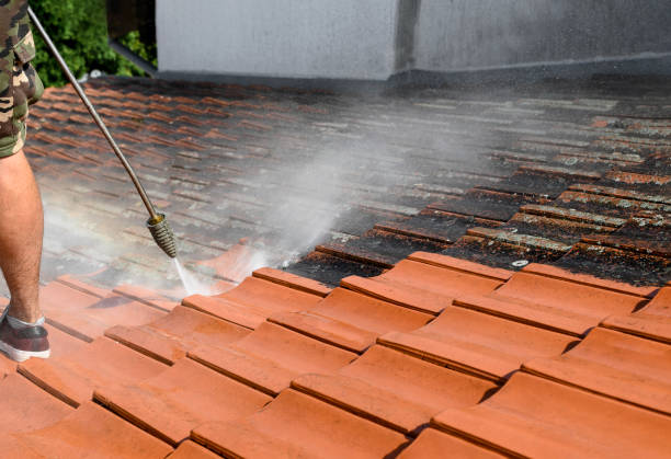 Best Affordable Power Washing  in Lake Camelot, IL