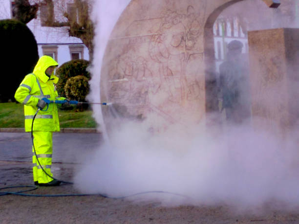 Best Roof Pressure Washing  in Lake Camelot, IL